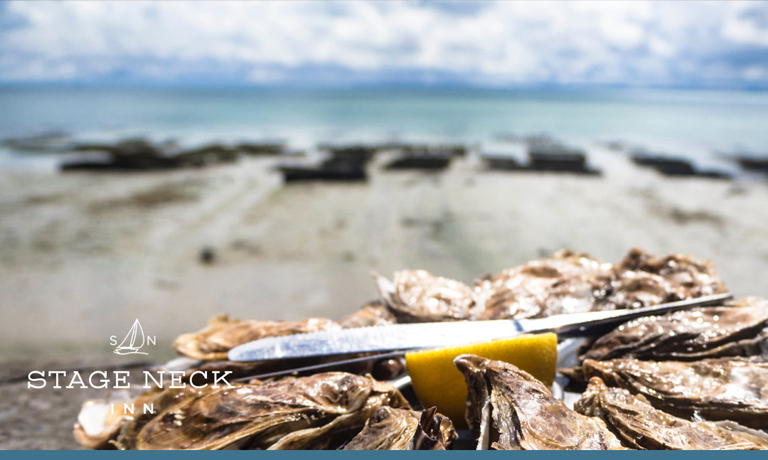 Maine Oyster Trail: Find Your Perfect Oyster Experience