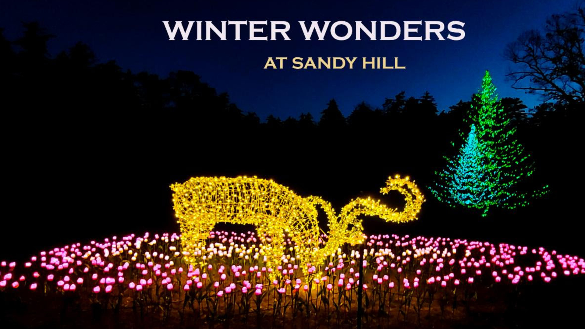 Winter Wonders at Sandy Hill