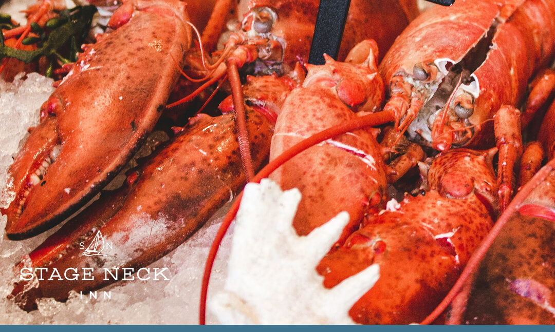 10 Great Fish/Seafood Markets In & Near York, Maine