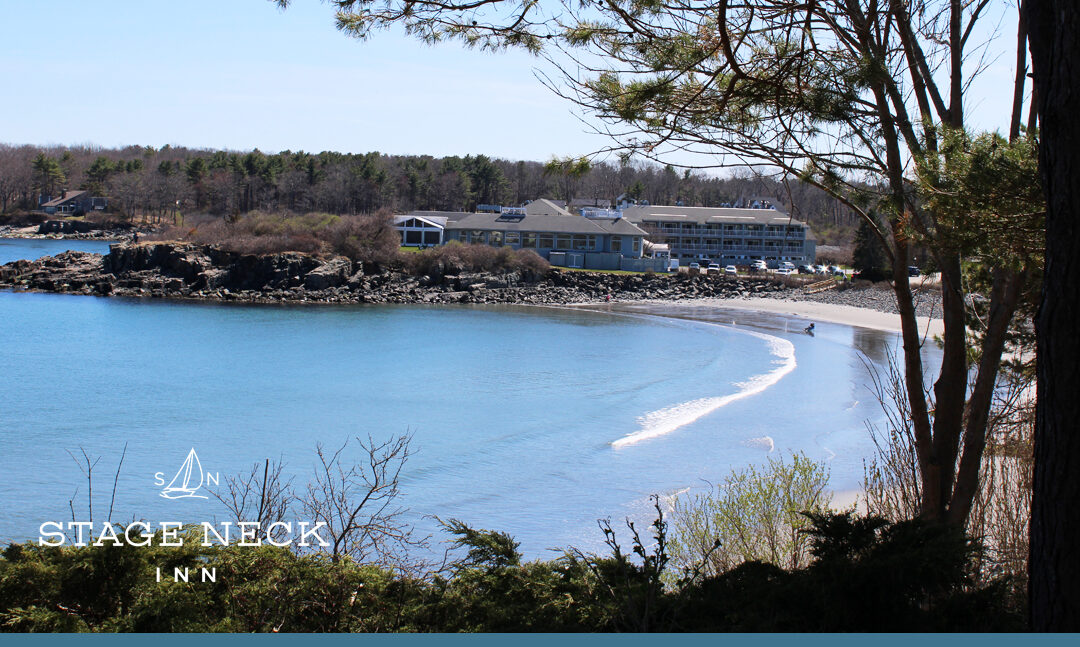 Hartley Mason Reserve: A Seaside Park Set Above York Harbor Beach