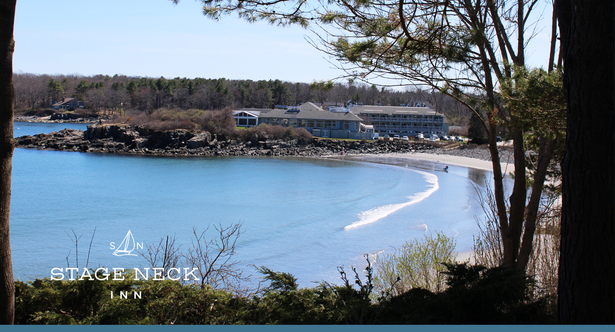 Hartley Mason Reserve: A Seaside Park Set Above York Harbor Beach