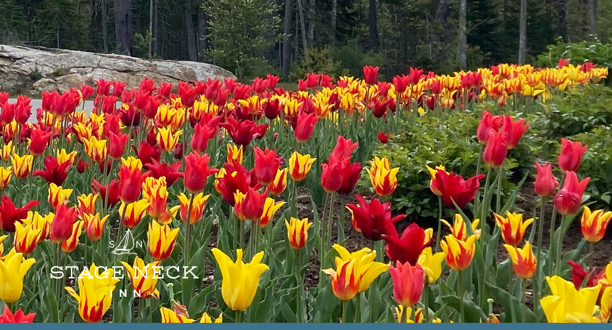 Coastal Maine Botanical Gardens