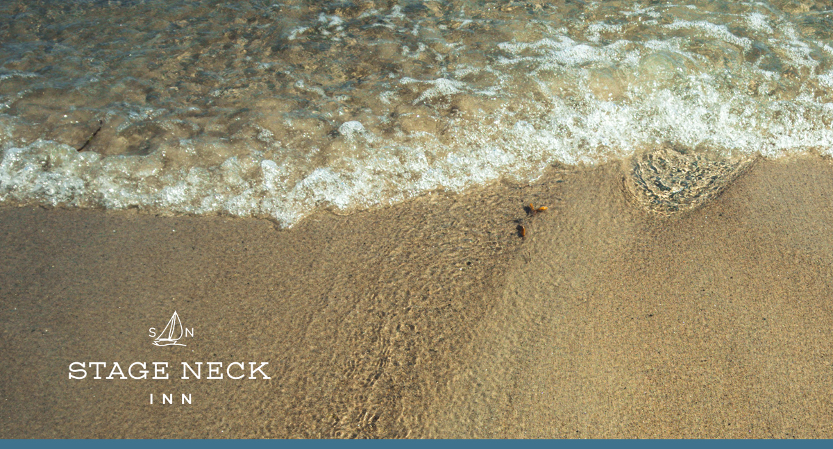 Ferry Beach State Park in Saco, ME