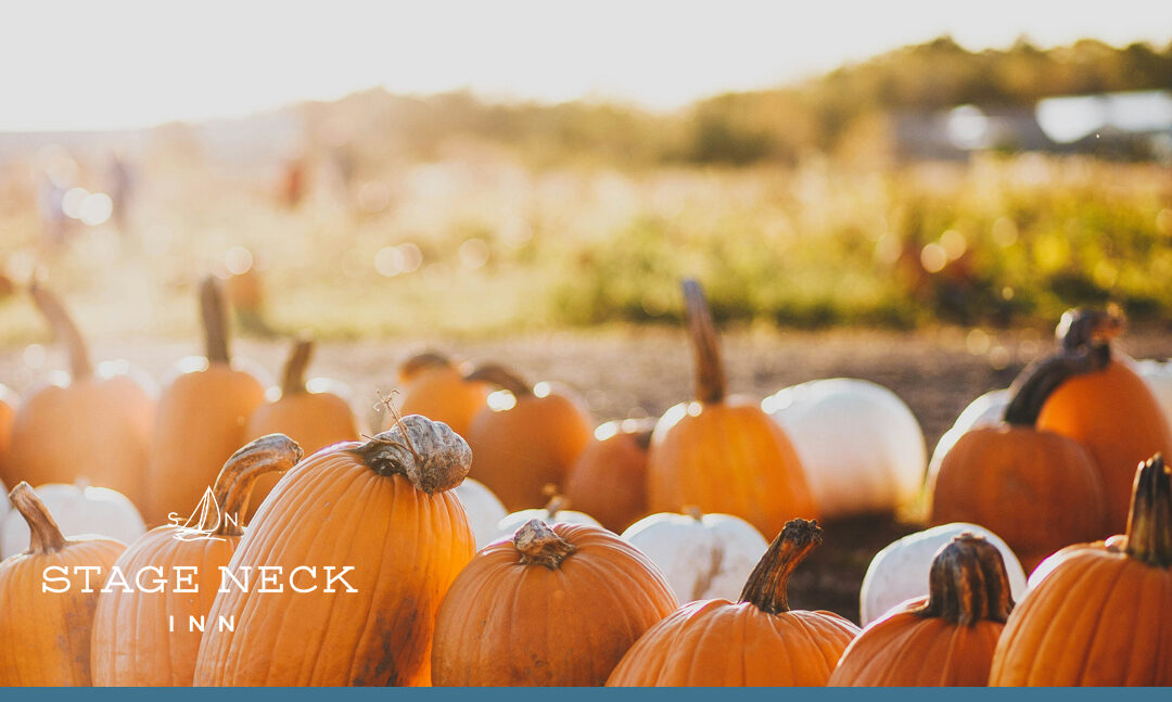 Best Fall Festivals in Maine: Fairs, Food & Family Fun