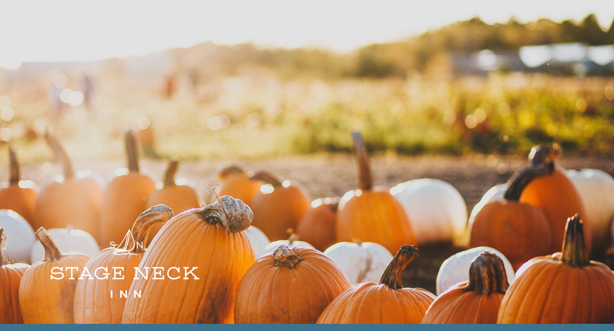 Best Fall Festivals in Maine: Fairs, Food & Family Fun