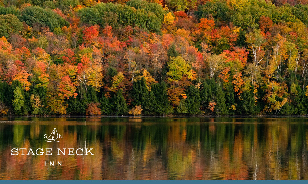 How to Plan a Fall Foliage Weekend in York, Maine