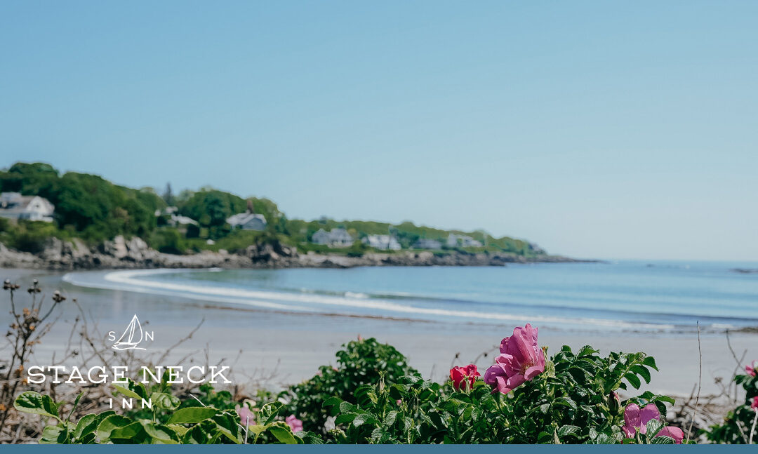 48 Hours in York Harbor: A Walkable Coastal Maine Itinerary